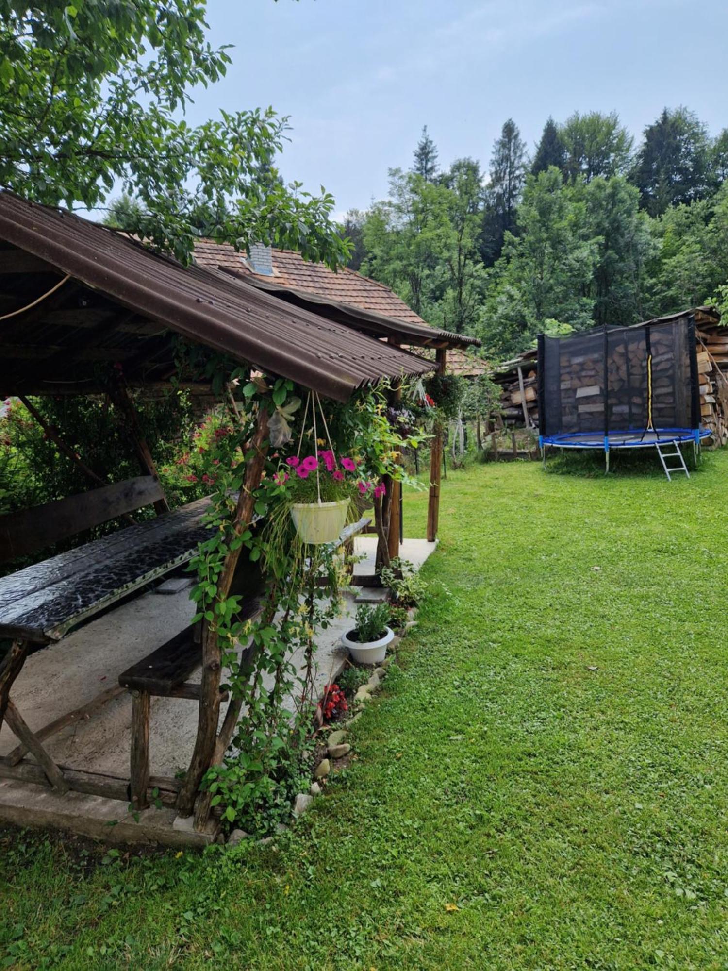 Pilipets У Дядька 게스트하우스 외부 사진
